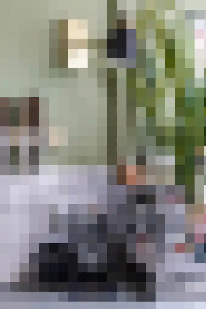 Nassaulaan 15 Groningen thumbnail 38