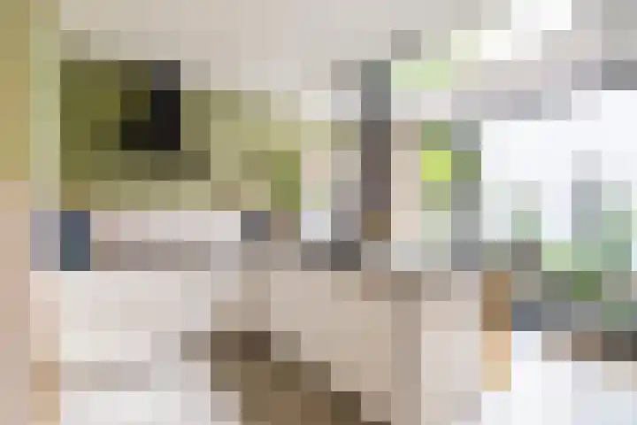 Nassaulaan 15 Groningen thumbnail 40