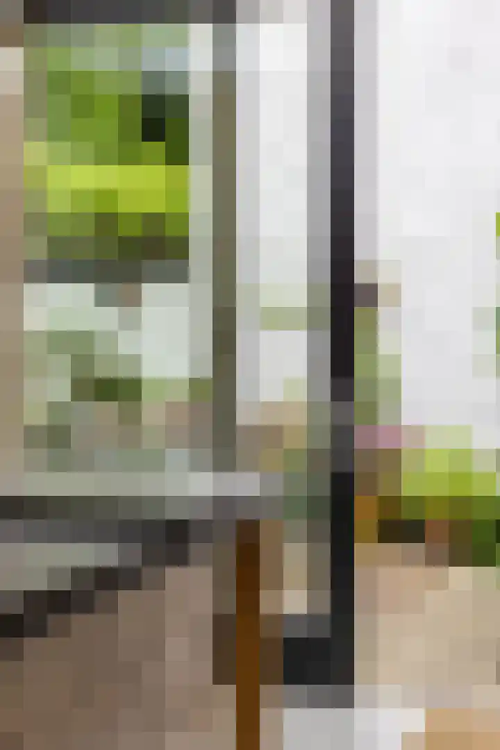 Nassaulaan 15 Groningen thumbnail 41