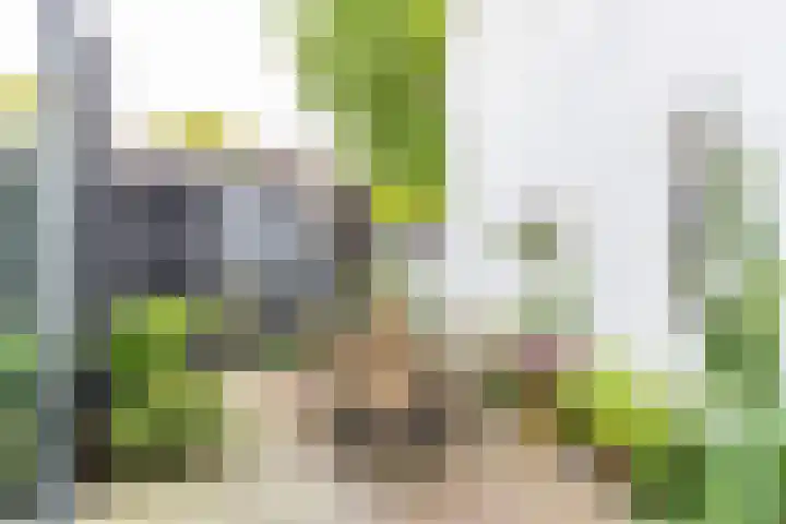 Nassaulaan 15 Groningen thumbnail 42