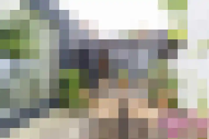 Nassaulaan 15 Groningen thumbnail 43