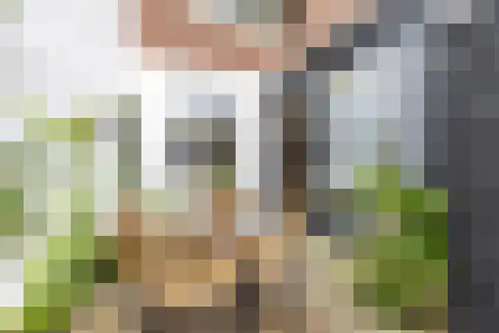 Nassaulaan 15 Groningen thumbnail 44