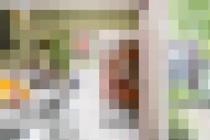 Nassaulaan 15 Groningen thumbnail 45