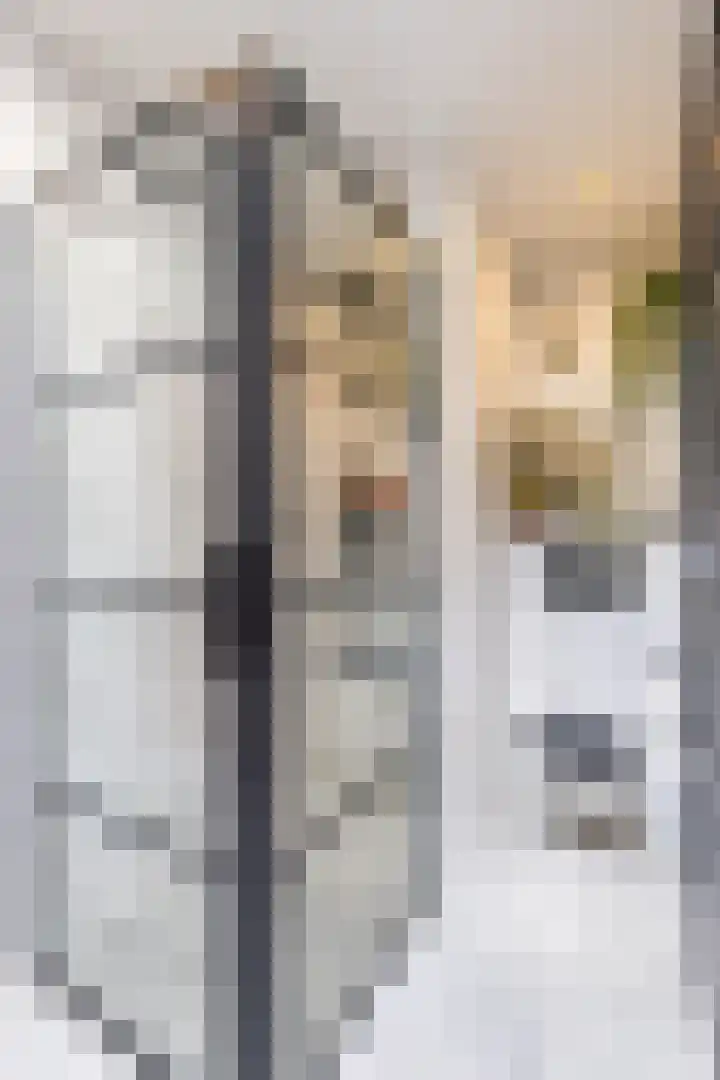 Nassaulaan 15 Groningen thumbnail 47