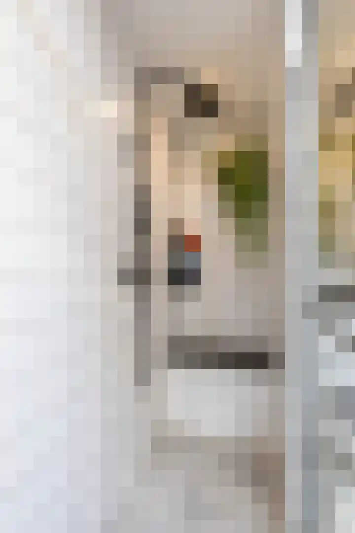 Nassaulaan 15 Groningen thumbnail 49