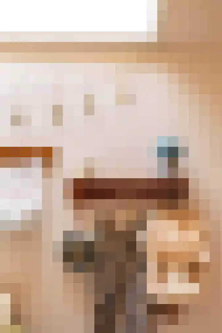 Nassaulaan 15 Groningen thumbnail 58