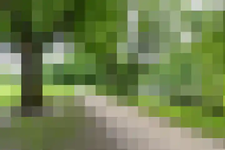 Nassaulaan 15 Groningen thumbnail 7