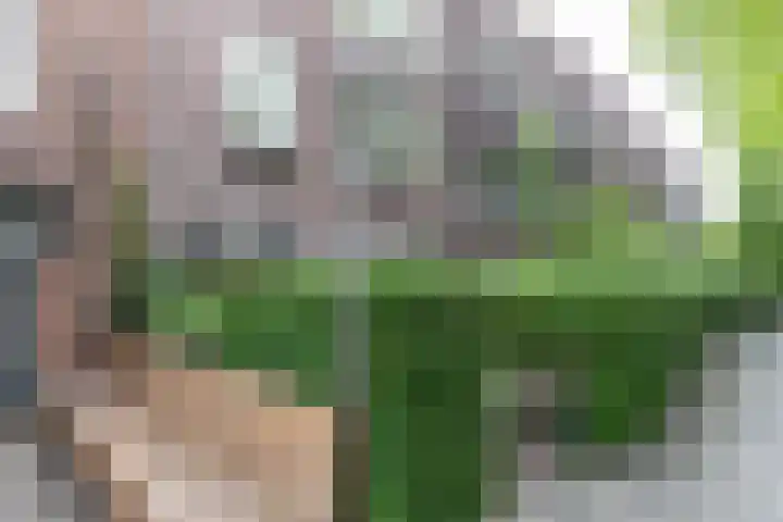 Nassaulaan 15 Groningen thumbnail 9