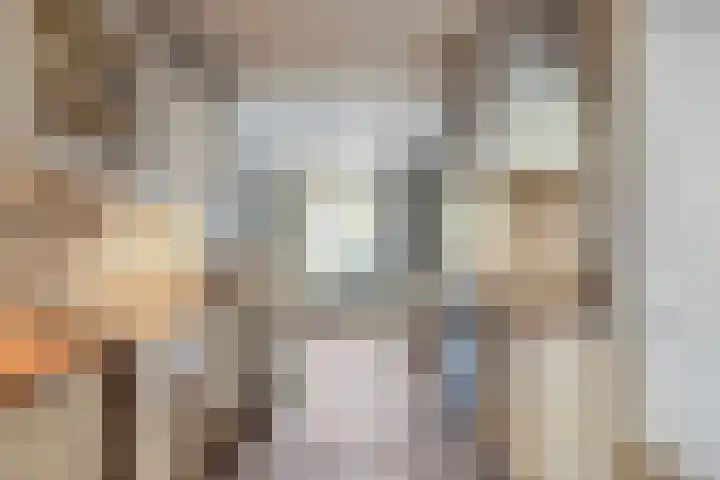Nassaulaan 15 Kesteren thumbnail 14
