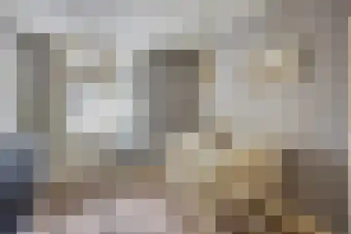Nassaulaan 15 Kesteren thumbnail 16