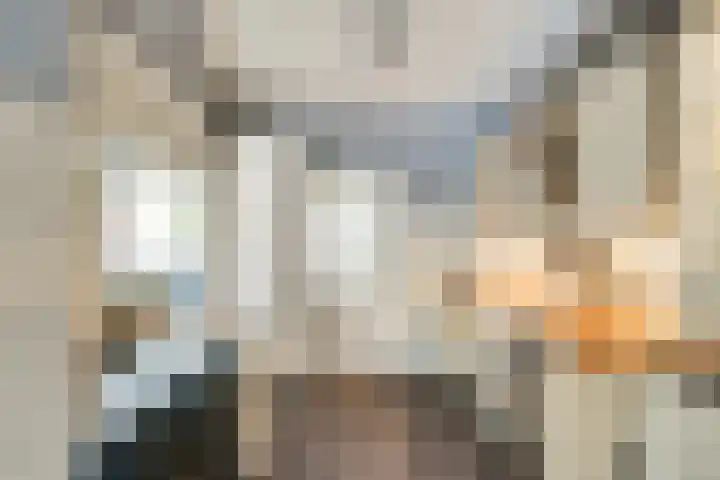 Nassaulaan 15 Kesteren thumbnail 18