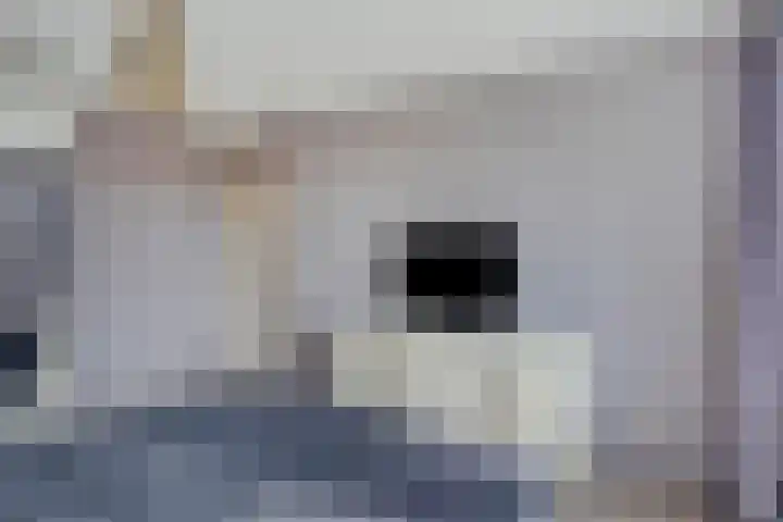 Nassaulaan 15 Kesteren thumbnail 21