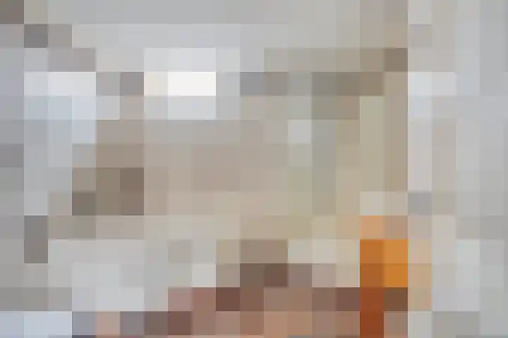 Nassaulaan 15 Kesteren thumbnail 24