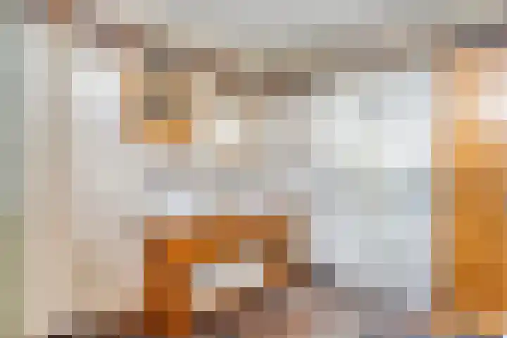 Nassaulaan 15 Kesteren thumbnail 26