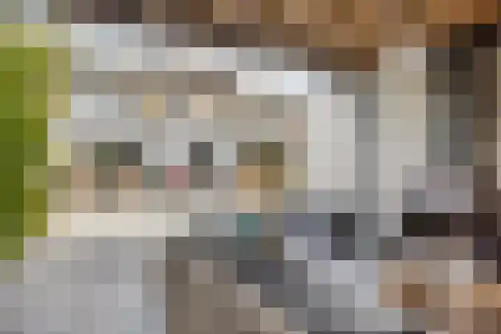 Nassaulaan 15 Kesteren thumbnail 33