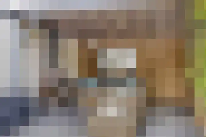 Nassaulaan 15 Kesteren thumbnail 34