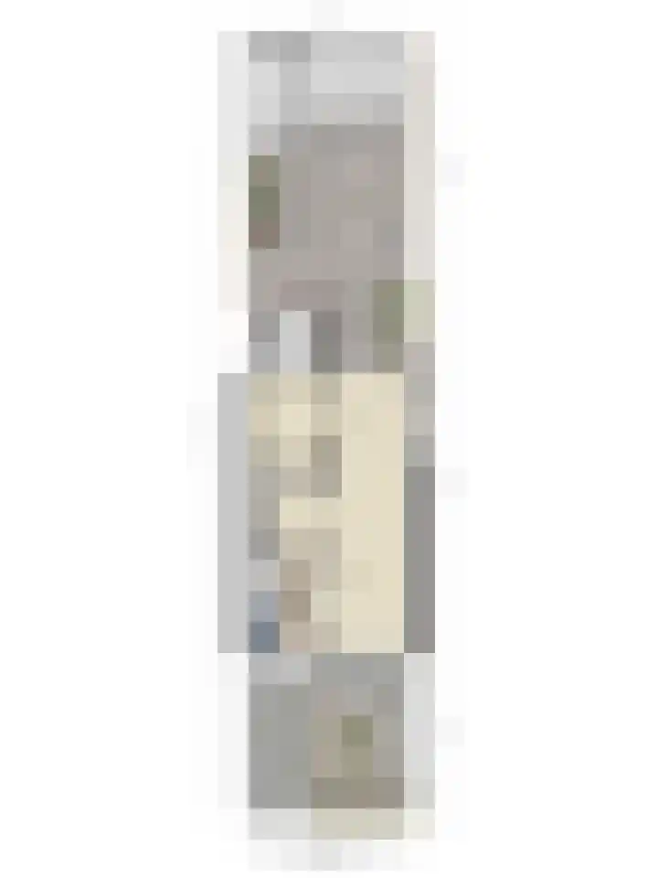 Nassaulaan 15 Kesteren thumbnail 40