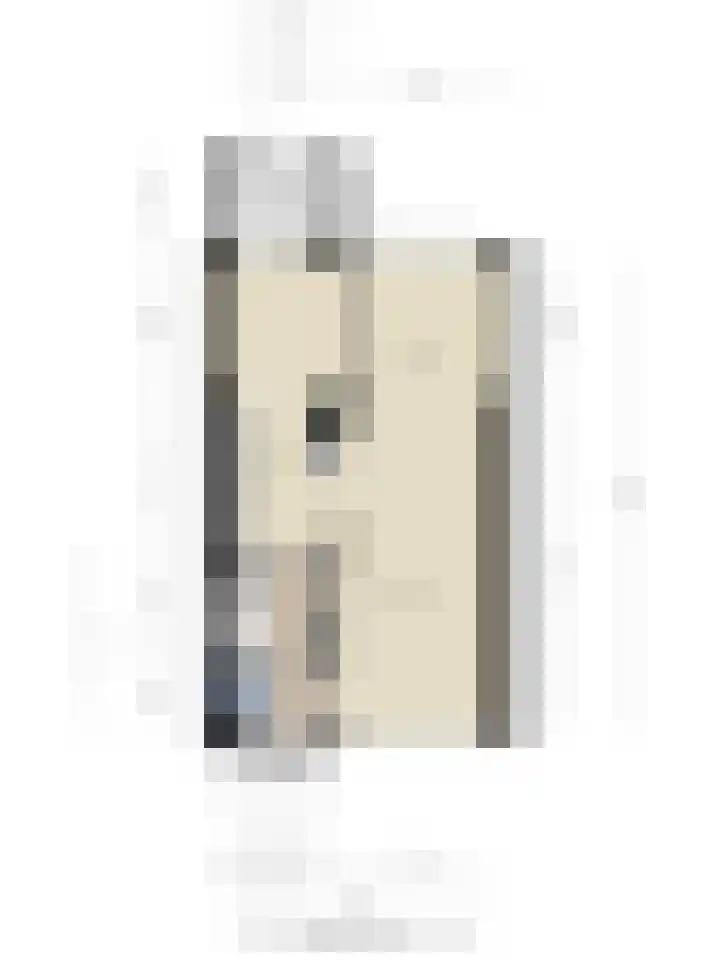 Nassaulaan 15 Kesteren thumbnail 41
