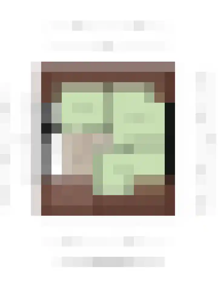 Nassaulaan 15 Kesteren thumbnail 43