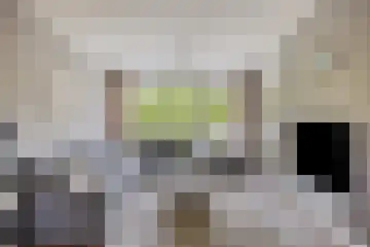 Nassaulaan 15 Kesteren thumbnail 5