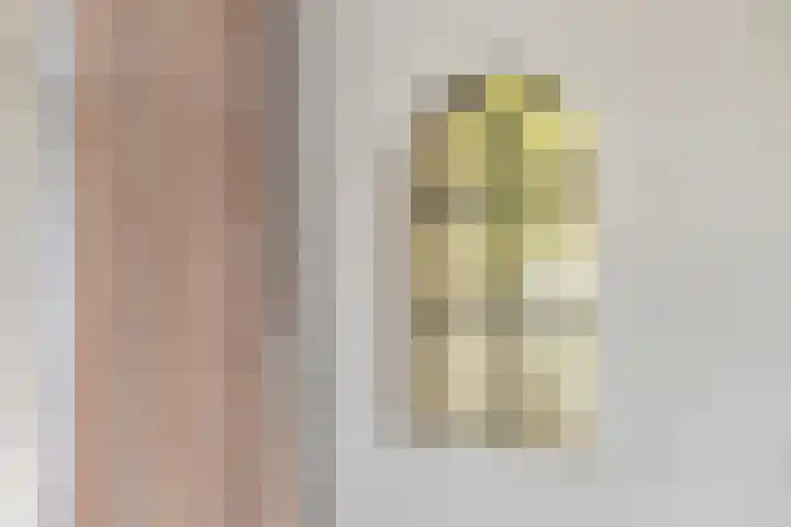 Nassaulaan 15 Kesteren thumbnail 7