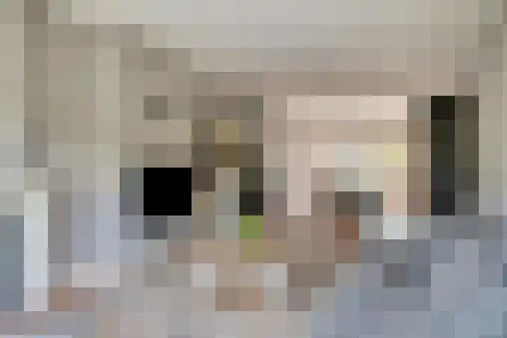 Nassaulaan 15 Kesteren thumbnail 8
