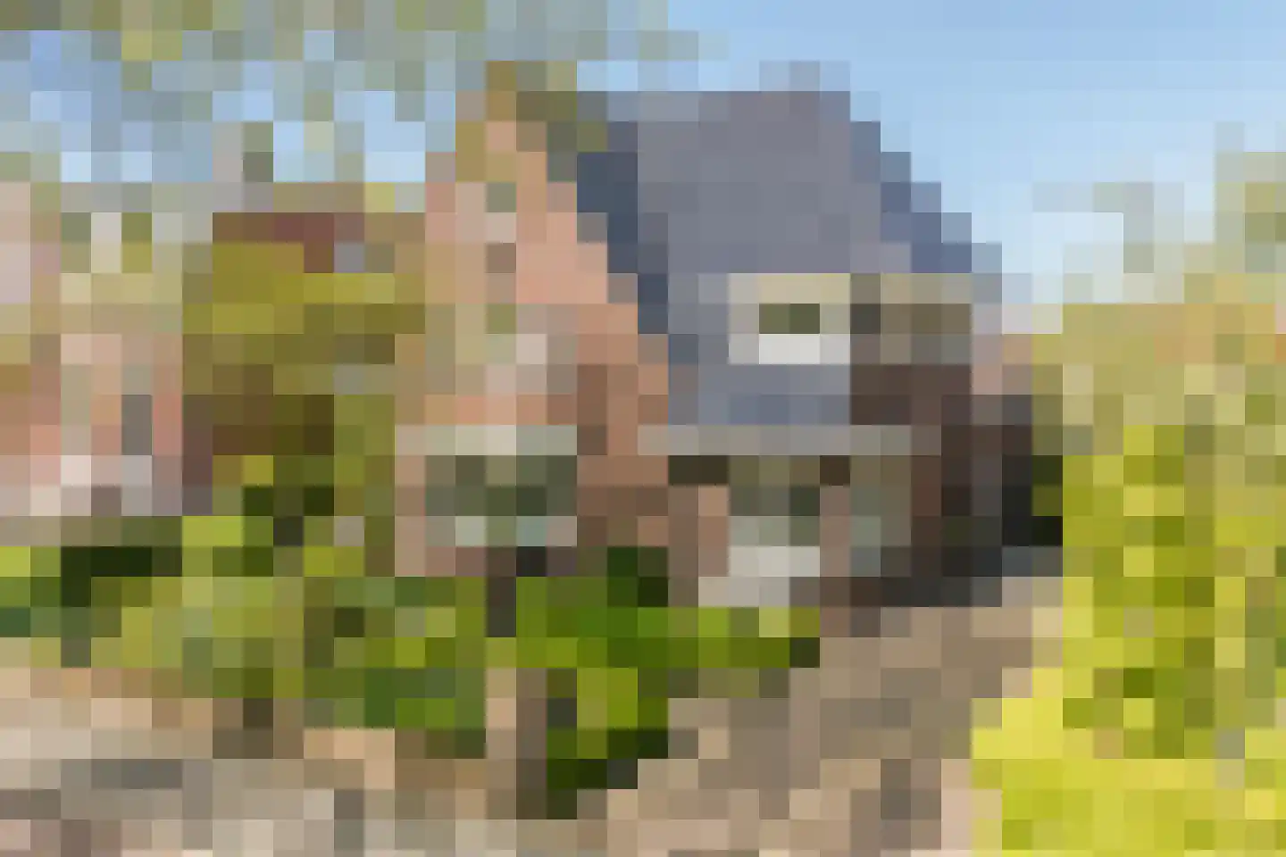 Nassaulaan 15 Steenbergen