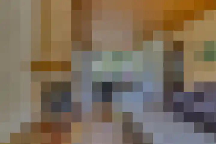 Nassaulaan 15 Zoeterwoude thumbnail 14