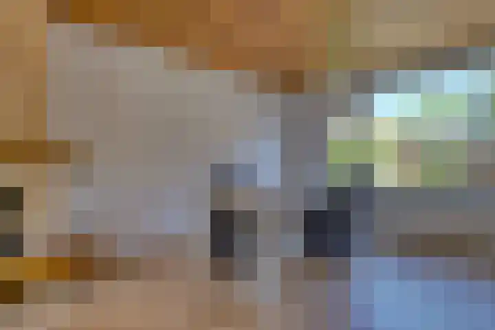 Nassaulaan 15 Zoeterwoude thumbnail 15