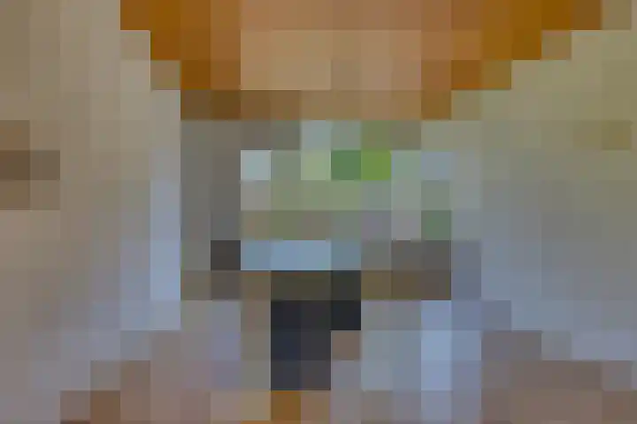 Nassaulaan 15 Zoeterwoude thumbnail 16
