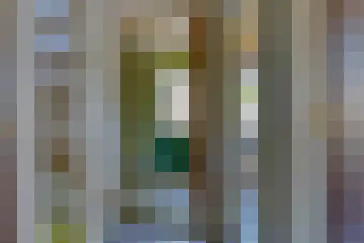Nassaulaan 15 Zoeterwoude thumbnail 19