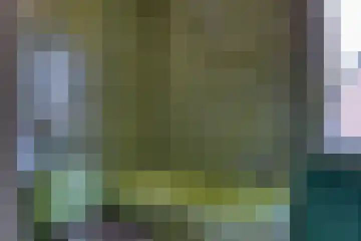 Nassaulaan 15 Zoeterwoude thumbnail 21