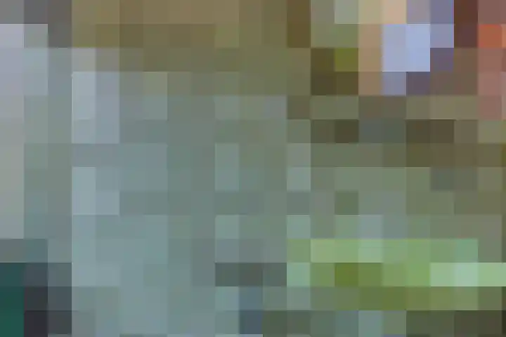 Nassaulaan 15 Zoeterwoude thumbnail 22