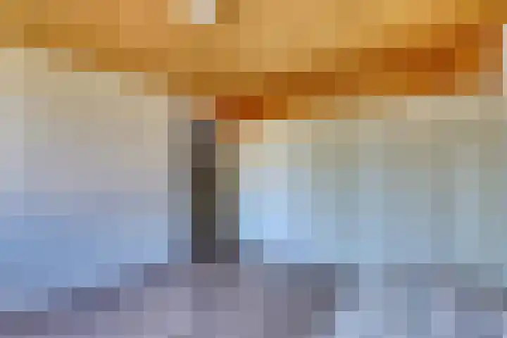 Nassaulaan 15 Zoeterwoude thumbnail 27