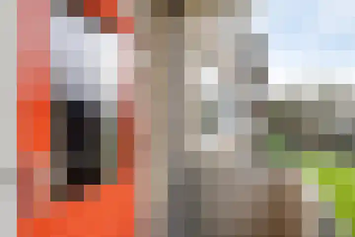 Nassaulaan 151 Middelburg thumbnail 12
