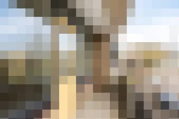 Nassaulaan 151 Middelburg thumbnail 4