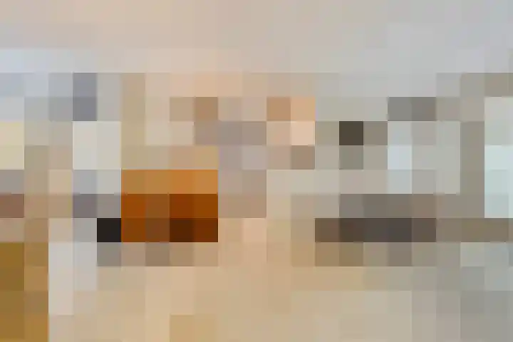 Nassaulaan 16 Baarle-Nassau thumbnail 14