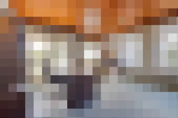 Nassaulaan 16 Baarle-Nassau thumbnail 23