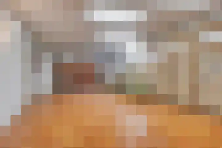 Nassaulaan 16 Baarle-Nassau thumbnail 32