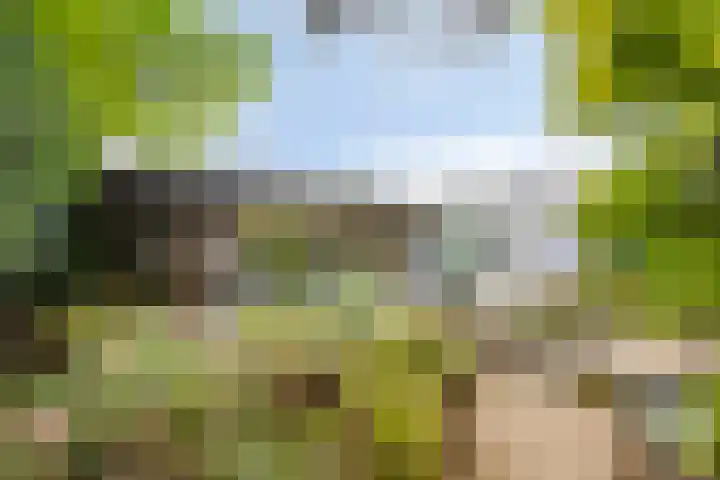 Nassaulaan 16 Baarle-Nassau thumbnail 42