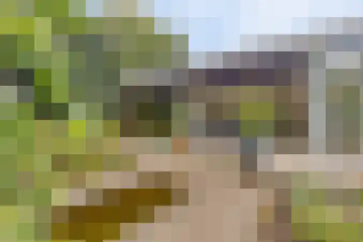 Nassaulaan 16 Baarle-Nassau thumbnail 43