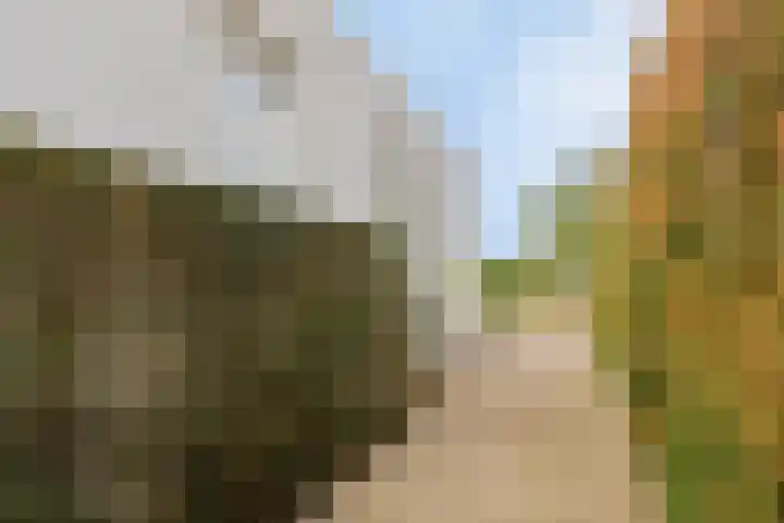 Nassaulaan 16 Baarle-Nassau thumbnail 48