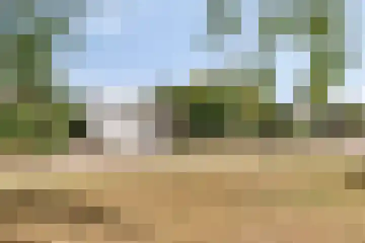 Nassaulaan 16 Baarle-Nassau thumbnail 49