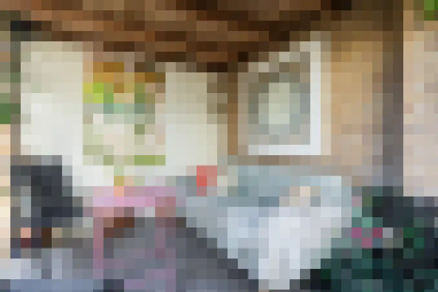 Nassaulaan 16 Bergen (NH) thumbnail 36