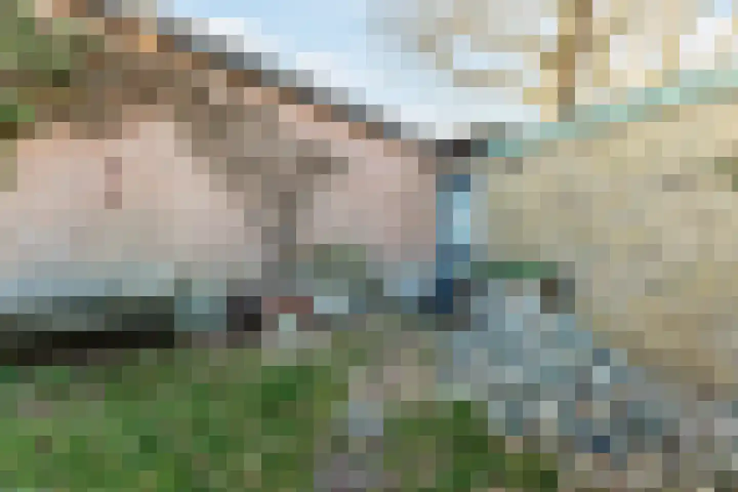 Nassaulaan 16 Bergen (NH) thumbnail 39