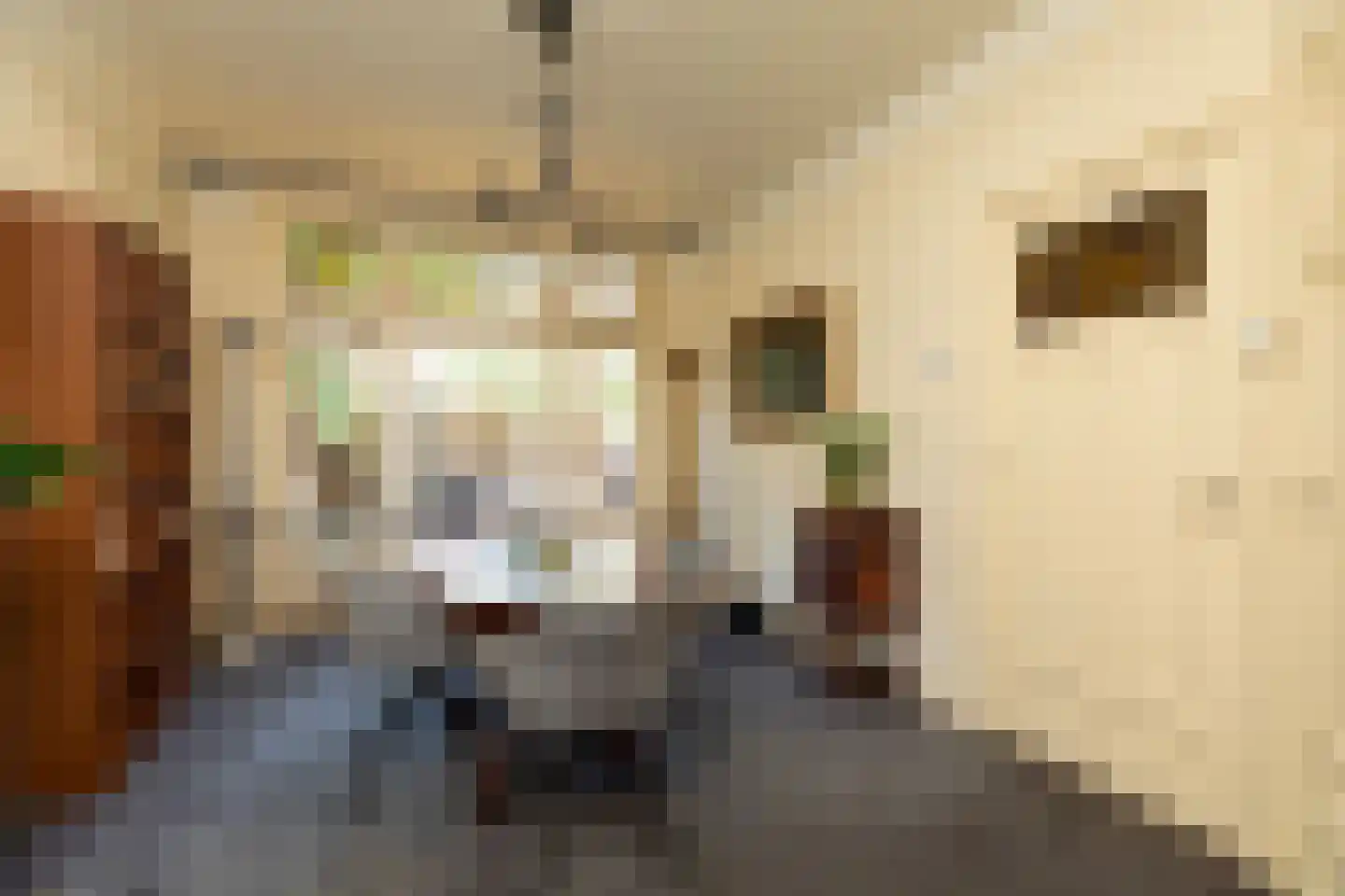 Nassaulaan 16 Hilversum thumbnail 10