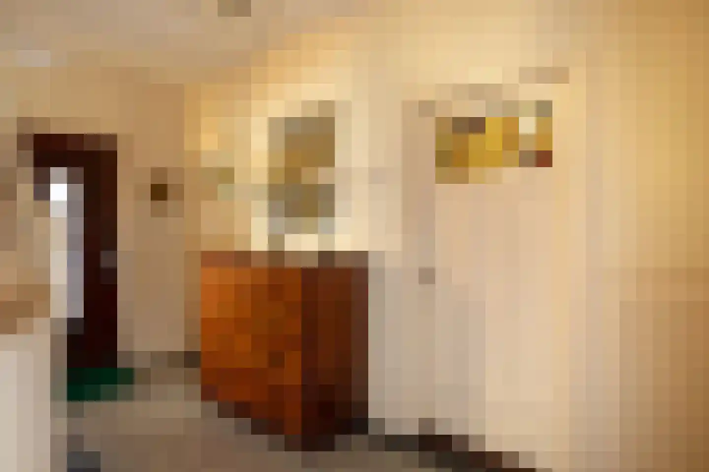 Nassaulaan 16 Hilversum thumbnail 14
