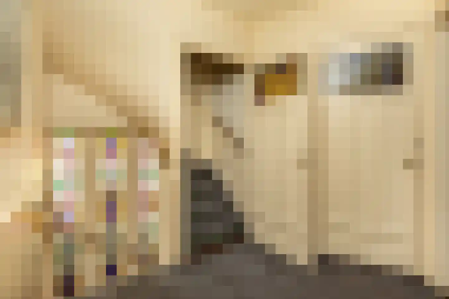 Nassaulaan 16 Hilversum thumbnail 16