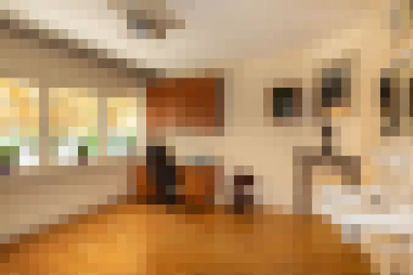 Nassaulaan 16 Hilversum thumbnail 19