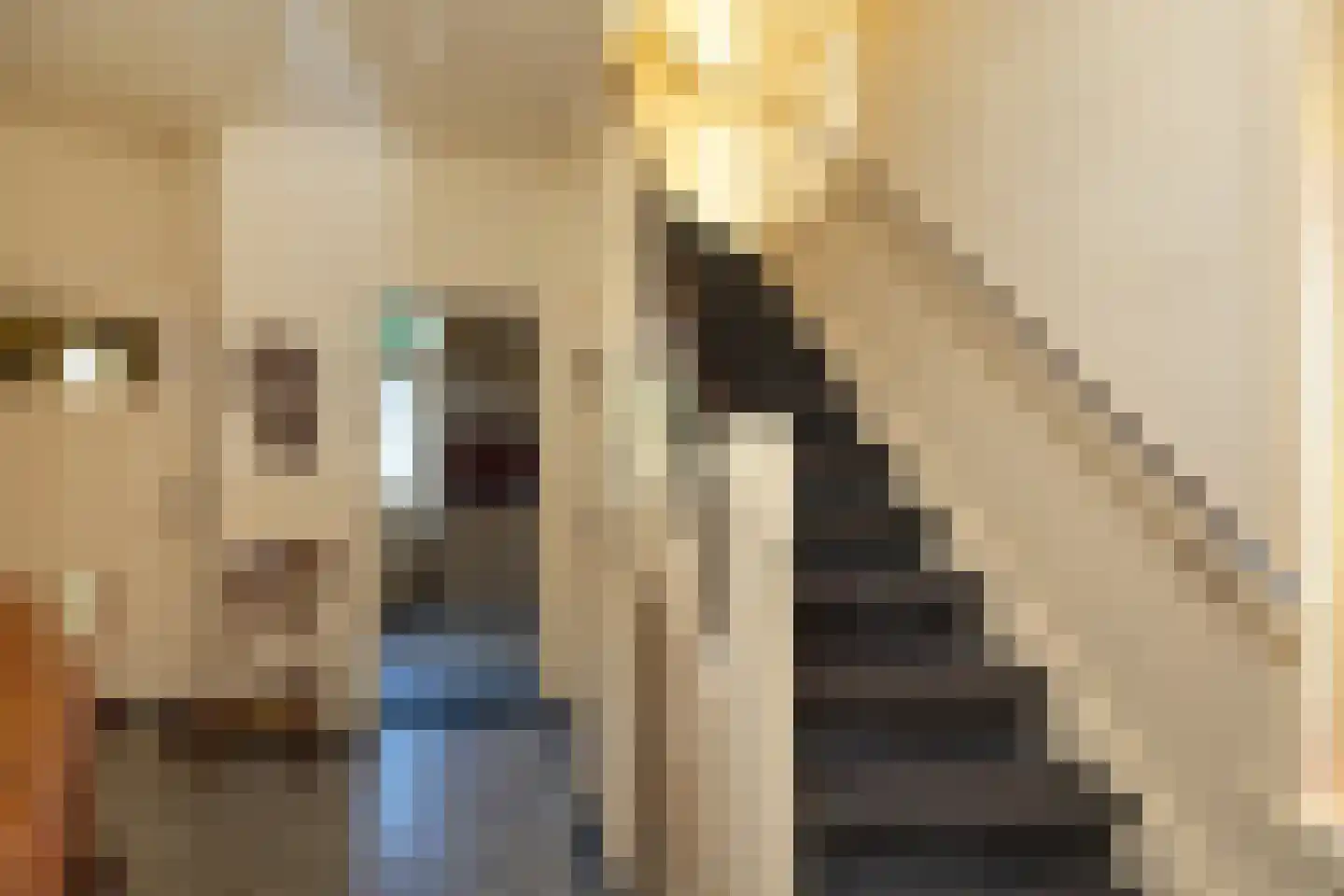 Nassaulaan 16 Hilversum thumbnail 7
